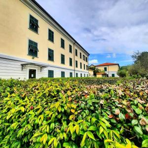 サルザーナにあるSanta Caterina Park Hotelの建物前の緑の山