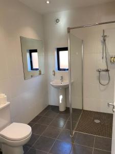 a bathroom with a toilet and a sink and a shower at Yorkshire Dales Lodge 5 Family 3 Bed in Richmond