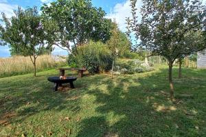 a picnic table in the middle of a field at Cottage near river Kolpa, vineyards,top location. in Adlešiči