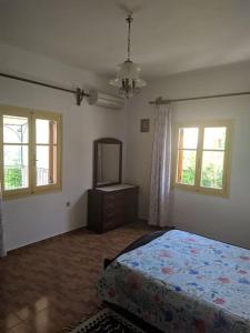 1 dormitorio con 1 cama, vestidor y 2 ventanas en Countryside apartment en Gaios