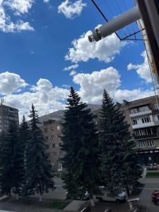 a group of pine trees in a parking lot at Angela’s place in Vanadzor