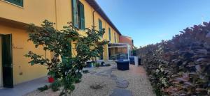 a building with a row of plants on the side of it at Vele Storiche Pisane - free private parking in Pisa