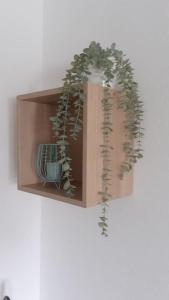 a shelf with a potted plant on the wall at Résidence calme, parking gratuit in Illzach