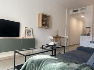 TV a/nebo společenská místnost v ubytování Love Rent4 Málaga loft