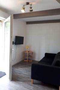 a living room with a black couch and a tv at Gîte Cascades des Tufs 2 pièces piscine in La Châtelaine