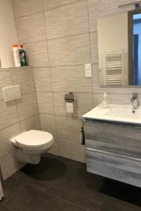a bathroom with a toilet and a sink at Gîte Cascades des Tufs 2 pièces piscine in La Châtelaine