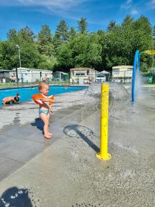 Billede fra billedgalleriet på Vakantiepark Breebos i Rijkevorsel + 55 billeder