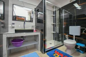een badkamer met een wastafel, een toilet en een douche bij Apartments Katja in Poreč