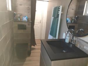 a bathroom with a sink and a mirror at Chez Flo&Fred in Barbery