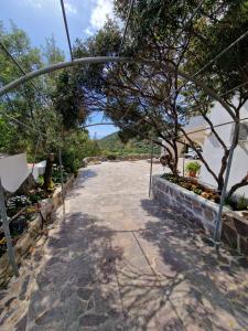 einen Gehweg mit Bäumen und Pflanzen darauf in der Unterkunft Villa Quattro Archi in Marongiu