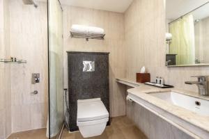 穆索里Country Inn Premier Pacific Mall Road Mussoorie的配有马桶、水槽和淋浴的浴室