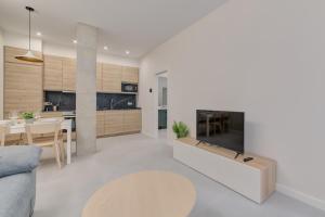 Μια τηλεόραση ή/και κέντρο ψυχαγωγίας στο Apartamentos Pamplona Confort by Clabao +63 φωτογραφίες