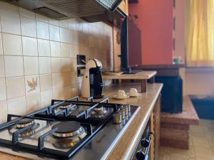 een keuken met een kookplaat en een oven bij Flowers and garden apartment in Manerba del Garda