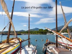 un groupe de bateaux amarrés dans une masse d'eau dans l'établissement Maison Argelès-sur-Mer, 2 pièces, 4 personnes - FR-1-225-682, à Argelès-sur-Mer