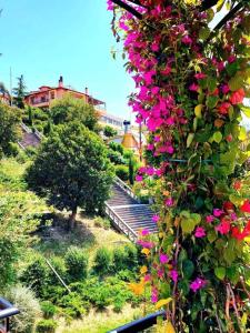 Afbeelding uit fotogalerij van 193 Urban Patras in Patra +38 foto's