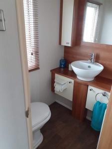 a bathroom with a white toilet and a sink at 19 orchid Meadows in Newbiggin-by-the-Sea