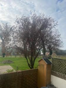 a wooden box next to a fence with a tree at Chapel Cottage in Canterbury