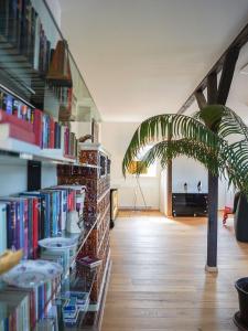 Apartment in Villa Rochlitz في Rochlitz: غرفة مع رف للكتب مليئة بالكتب