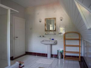 a bathroom with a sink and a mirror at Apartment in Villa Rochlitz in Rochlitz