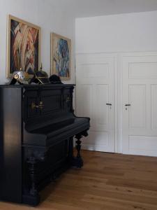 Fotografie z fotogalerie ubytování Apartment in Villa Rochlitz v destinaci Rochlitz