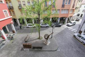 - une vue sur une rue avec un arbre et des bancs dans l'établissement Treviso City Town 4, à Trévise