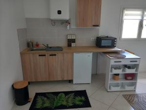 a kitchen with a sink and a counter with a microwave at GÎTE LA MOUNTAGNA in Peyroules