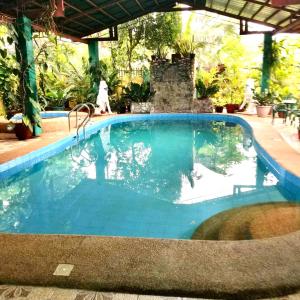 a large swimming pool with blue water at Villa Ceferina Bohol in Tagbilaran City