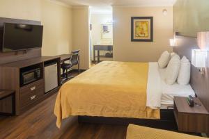 a hotel room with a bed and a desk at Quality Inn Richmond Hill - Savannah I-95 in Richmond Hill