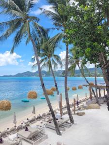 - une plage avec des chaises, des palmiers et l'océan dans l'établissement Elephant Beach Club & Resort Samui, à Chaweng