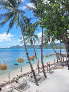 a beach with chairs and palm trees and the ocean at Elephant Beach Club & Resort Samui in Chaweng