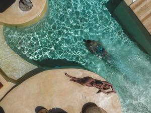 - un groupe de personnes se baignant dans une piscine dans l'établissement Divino Caldera, à Akrotiri