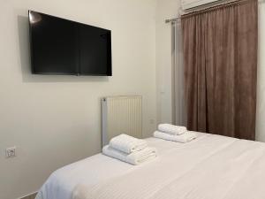 Postel nebo postele na pokoji v ubytování Alpha Apartment