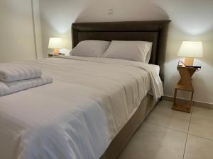 Postel nebo postele na pokoji v ubytování Alpha Apartment