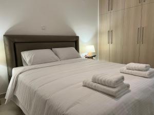 Postel nebo postele na pokoji v ubytování Alpha Apartment