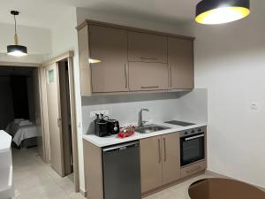 Kuchyň nebo kuchyňský kout v ubytování Alpha Apartment