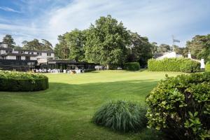 a green yard with bushes and a building at Domein Martinus in Halle