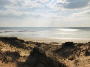 widok na ocean z piaszczystej plaży w obiekcie Appart du bourg, proximité & mer w mieście Saint-Jean-de-Monts +1 zdjęcie