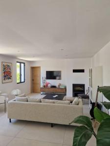 Verquières的住宿－Magnifique Villa avec Piscine en Provence，带沙发和壁炉的客厅