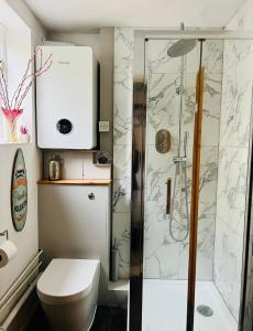 een badkamer met een toilet en een douche bij Larkin House in Rye