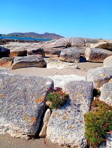 Foto dalla galleria di Donegal cottage a Donegal