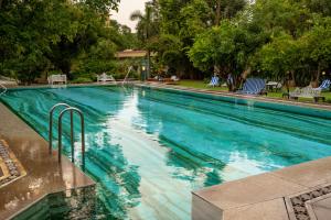 a large swimming pool with blue chairs and trees at Hotel Narain Niwas Palace in Jaipur