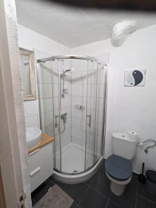 een badkamer met een douche, een toilet en een wastafel bij Appartment mit Charme am Strand in La Pared