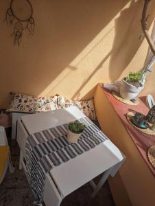 een kamer met een tafel met potplanten erop bij Appartment mit Charme am Strand in La Pared