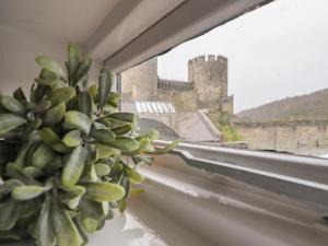 um vaso de planta sentado num parapeito de janela com um castelo em The Old Coach House em Conwy