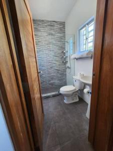 a bathroom with a toilet and a sink and a shower at Relax in front of beach! 3 bd condo with rooftop! in Río San Juan