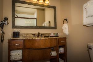 a bathroom with a sink and a mirror at The Lodge at Old Kinderhook in Camdenton