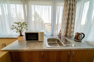Kuchyň nebo kuchyňský kout v ubytování Aparthotel Belveder