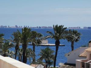 vistas al agua y a las palmeras desde un edificio en Beach house los alcazares, en Los Alcázares