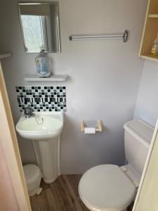 a bathroom with a white toilet and a sink at Charming 6 birth caravan in skegness in Skegness