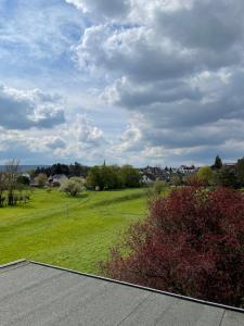 雷馬根的住宿－Ferienwohnung Kristof，享有草地公园的景色